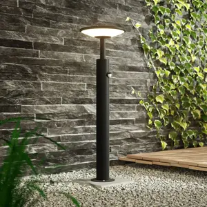 Comparateur de prix : Lucande Borne lumineuse LED Fenia, 60 cm, capteur, IP54, anthracite