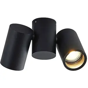 Arcchio plafonnier Gesina, 2 flammes, noir, aluminium, 17,5 cm pas cher