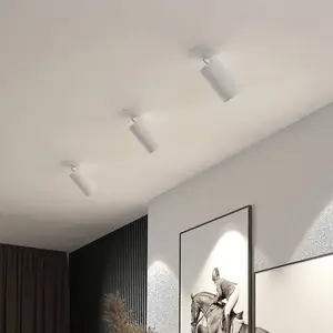 ARCCHIO Lampes encastrables pour les magasins à intensité variable 'Davin' en aluminium pour salon & salle à manger pas cher