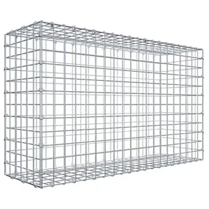 Gabiona Gabion 100 cm x 60 cm x 30 cm (L x H x P), maille 5 cm x 5 cm, anneau en C
