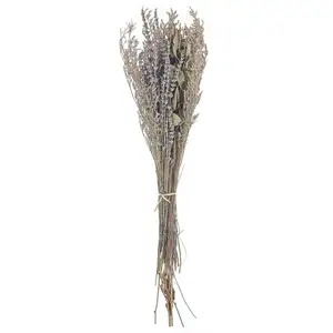 Comparateur de prix : BELIANI Bouquet de Fleurs Séchées Décoratives Préservées 70 cm Violet et Vert Nawarra