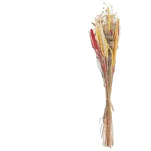 Comparateur de prix : Bouquet de fleurs séchées PAMPELUNA Naturel