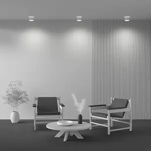 Comparateur de prix : MAYTONI Downlight monté en surface blanc 3000K