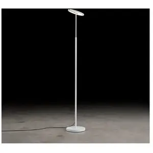 Holtkötter Supernova Lampadaire LED, 2145-1-8, pas cher