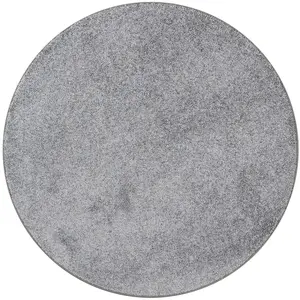 Snapstyle Tapis rond en velours gris 160x160 cm pas cher