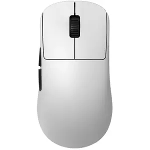 Endgame Gear OP1we souris Jouer Droitier USB Type-A Optique 19000 DPI pas cher