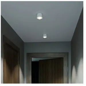Top Light PUK ! One Avantgarde Plafonnier, LED, 80-3102022,Vendu parreuter