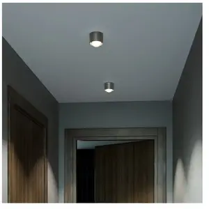 Top Light PUK ! One Avantgarde Plafonnier, LED, 80-3102026, pas cher