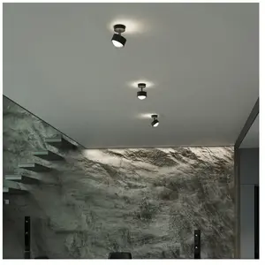 Top Light Puk Turn Up-/Downlight Plafonnier, LED, 2-28002-LED-BE, pas cher