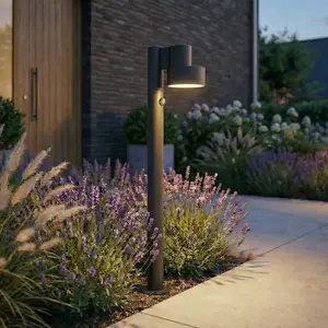 Bornes lumineuses LED Lucande Elune, noires, avec capteur, IP44, 77 cmVendu parluminaire