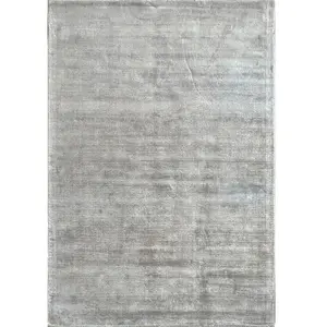 Tapis janelle élégant salon viscose haute qualité, gris, 200 x 290 cm