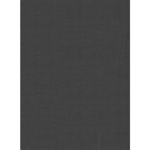 Tapis cosy lavable moelleux élégant uni, anthracite, 200 x 280 cm pas cher