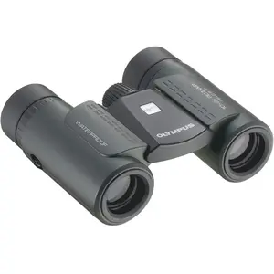 Olympus Slim 10x21 RC II WP noir pas cher