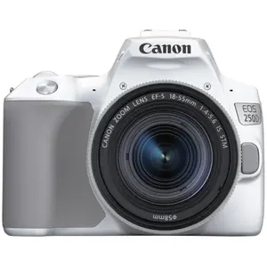 Reflex Canon EOS 250D Blanc + Objectif EF-S 18-55 mm f/4-5.6 IS STM pas cher