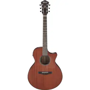 Ibanez Ae440-Lgs Natural PlatinumVendu parwoodbrass