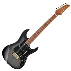 Comparateur de prix : AZ2204AGTGB Transparent Gray Burst Prestige
