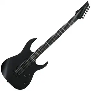 Comparateur de prix : Ibanez RGRTBB21 Iron Label Black Flat guitare électrique baryton