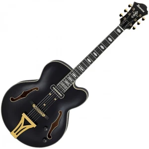 Comparateur de prix : Ibanez PM3C Signature Pat Metheny Black Low Gloss