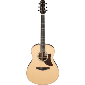 Comparateur de prix : AAM780E NT Platinum Collection Natural High Gloss + Etui Ibanez
