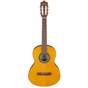 Comparateur de prix : Ibanez GA2 Open Pore Amber guitare classique 3/4