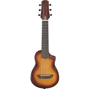 Ibanez AUP10N-OLB Open Pore Light Brown SunburstVendu paramazon