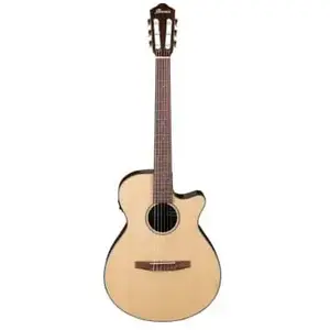 Ibanez AEG50N Natural