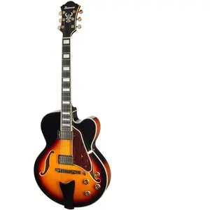 Ibanez Ibanez Af95-Bs - Guitare Électrique Hollow Body - Brown SunburstVendu paramazon
