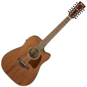 Ibanez AW5412CE-OPN - 12 Cordes - Open Pore NaturalVendu parmichenaud