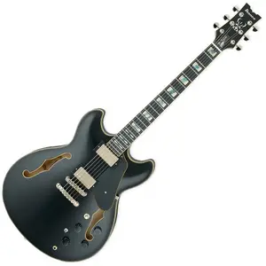 Ibanez JSM20-BKL Black Low Gloss Guitare semi-acoustiqueVendu parmichenaud