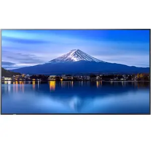 Sharp MultiSync P656 En forme de kiosk 163,8 cm (64.5") LCD 60006061