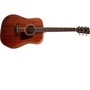 Ibanez AW54-OPN - Open Pore Natural - Guitare acoustique