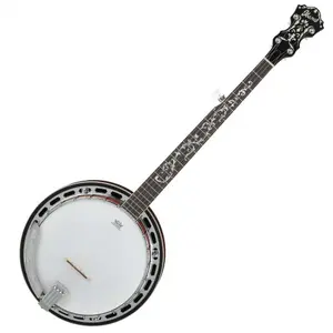 Comparateur de prix : Ibanez Ibanez B200 - Banjo 5 Cordes Avec Résonateur