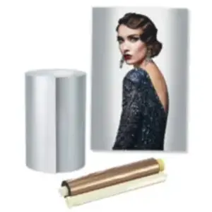 Dnp kit d'impression métallique 15x20cm 200 tirages pour DS620