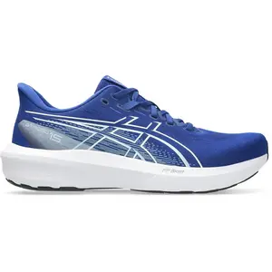 ASICS GT-1000 15 Chaussure de running avec stabilisateurs Hommes - bleu, blanc, Taille 49 pas cher
