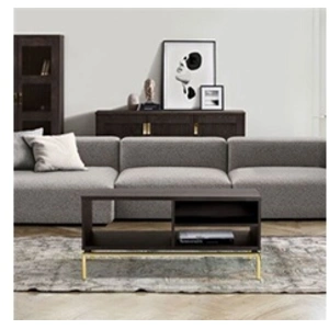 Comparateur de prix : Table basse 100x44x45 cm décor chêne noir et métal doré - LOUNIS