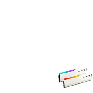 G.Skill Ripjaws M5 RGB White - 2 x 32 Go (64 Go) - DDR5 5600 MHz - CL46 pas cher