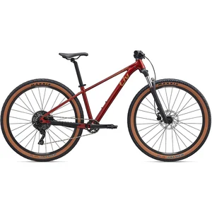 Liv Vtt Tempt 2 29´´ Advent Rd-m6195m 2025 MVendu parbikeinn