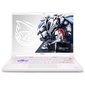 MSI Crosshair A16 HX MLG Edition E8WGK-099FRY pas cher