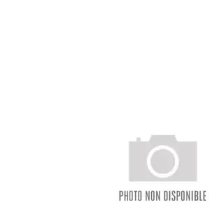 MSI 1To M.2 NVMe Gen5 - SPATIUM M560 pas cher