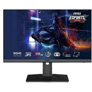 Comparateur de prix : MSI G272QPF ÉCRAN PC GAMING 27'' WQHD - DALLE RAPID IPS, 2560X1440, 17