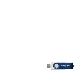 Patriot XPORTER X550 256 Go Clé USB 3.2 Gen 1 Type-A+C - Clé USB - Clé Pen - PS256GX550AAD pas cher