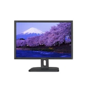 Ecran LED 24" HANNSPREE HP246PJB - 1920 x 1200 - DisplayPort - Noir pas cher