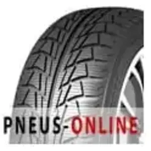 Pneus d'hiver Nankang Snow Viva SV-1 ( 225/55 R16 99H XL, Pneus nordiques ) pas cher
