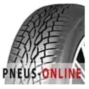 Comparateur de prix : Pneus d'hiver Nankang Snow SW-7 ( 165/70 R13 83T XL, Clouté )