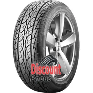 Comparateur de prix : Pneu Nankang Utility SP-7 285/45 ZR 19 111 W XL Ete