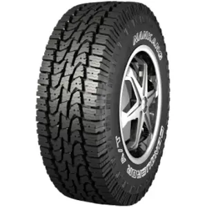 NANKANG Conqueror A/T 265/70 R17 121/118Q pas cher