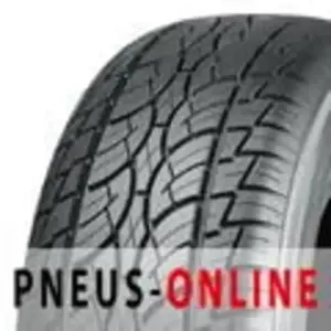 Nankang SP-7 XL 255 30 22 Y 95 Summer pas cher