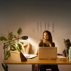 Comparateur de prix : Ledvance Lampe de bureau lumineuse en PVC avec finition métal noir, 42cm