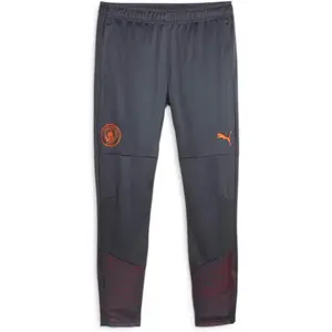 Comparateur de prix : Puma Pantalon de survêtement Trainning Manchester City 2023/24 Gris S 772864-16