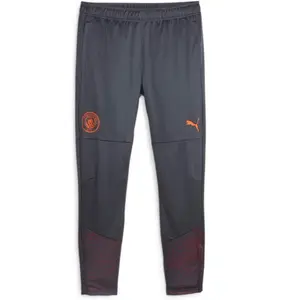 Puma Pantalon de survêtement Trainning Manchester City 2023/24 Gris L 772864-16
